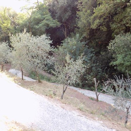 Fattoria Ceragioli Villa Camaiore Dış mekan fotoğraf