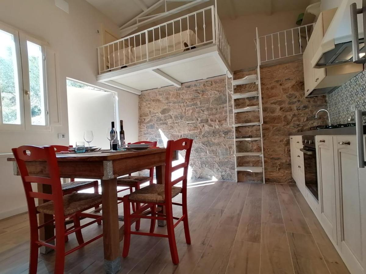 Fattoria Ceragioli Villa Camaiore Dış mekan fotoğraf