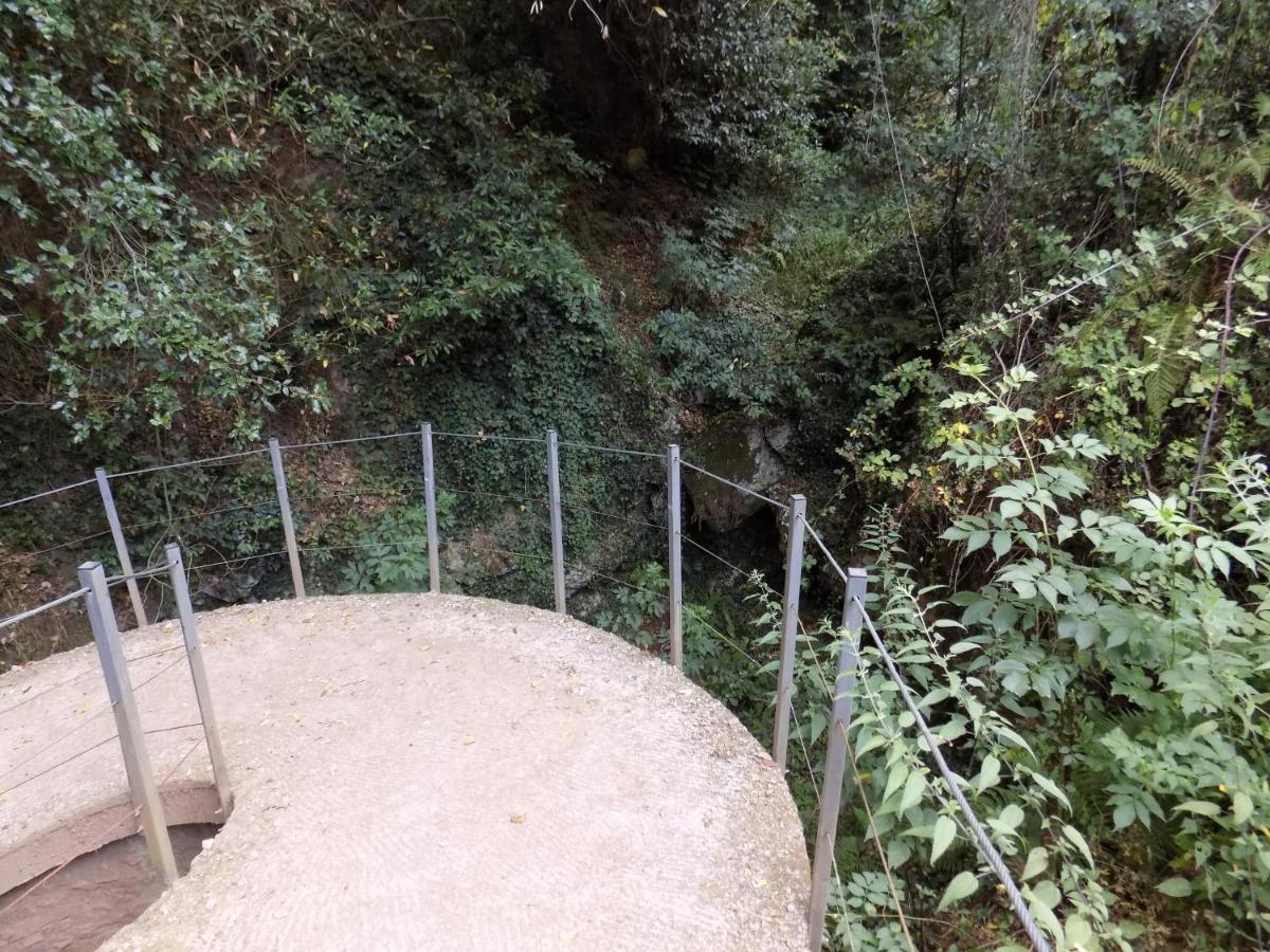 Fattoria Ceragioli Villa Camaiore Dış mekan fotoğraf