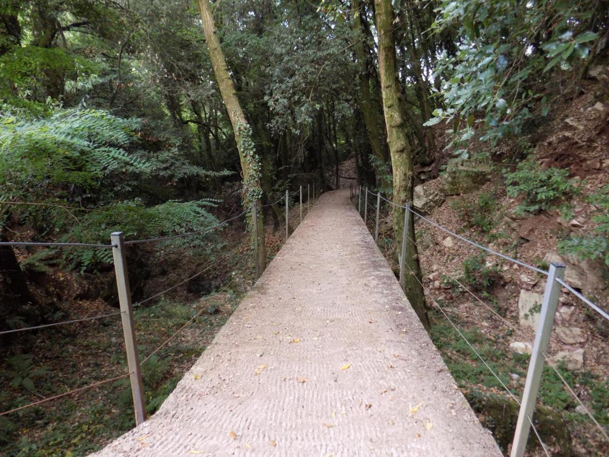 Fattoria Ceragioli Villa Camaiore Dış mekan fotoğraf