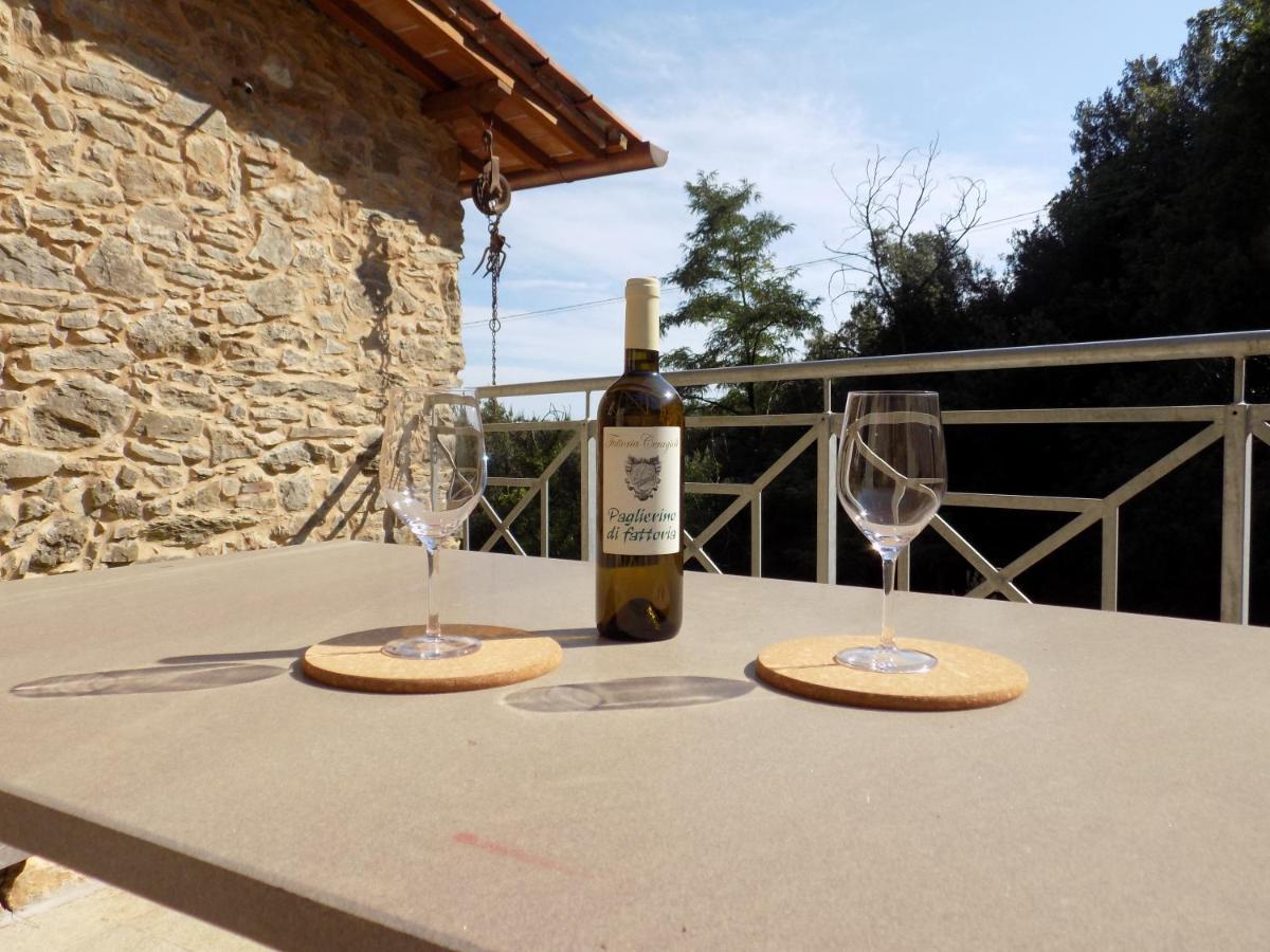 Fattoria Ceragioli Villa Camaiore Dış mekan fotoğraf