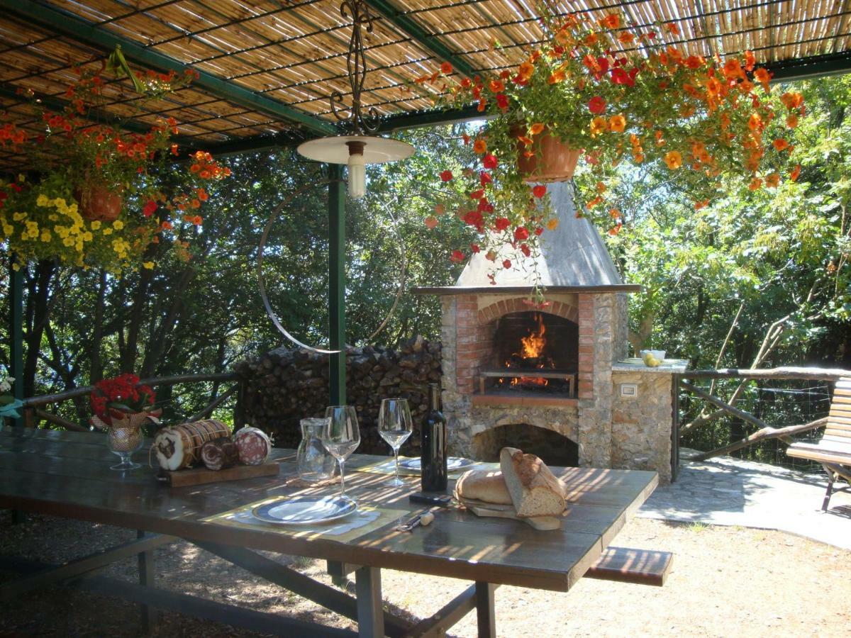 Fattoria Ceragioli Villa Camaiore Dış mekan fotoğraf