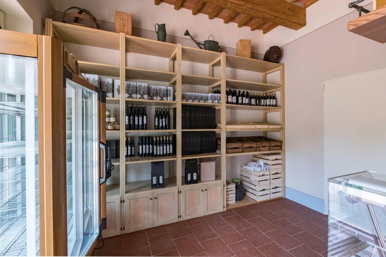 Fattoria Ceragioli Villa Camaiore Dış mekan fotoğraf