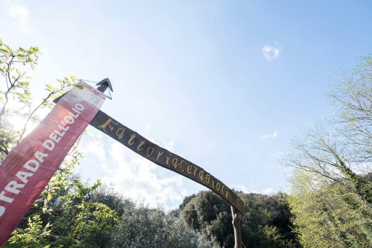 Fattoria Ceragioli Villa Camaiore Dış mekan fotoğraf