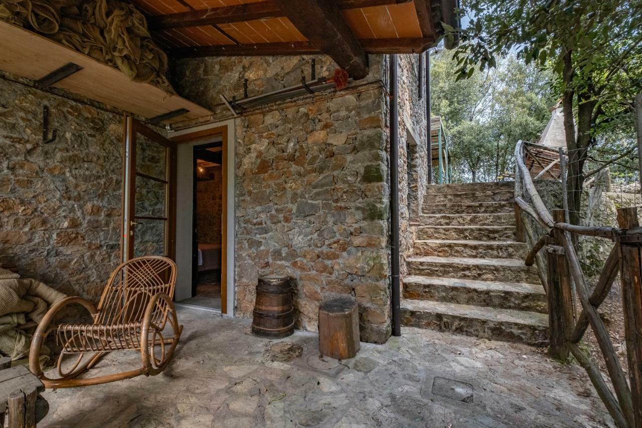 Fattoria Ceragioli Villa Camaiore Dış mekan fotoğraf