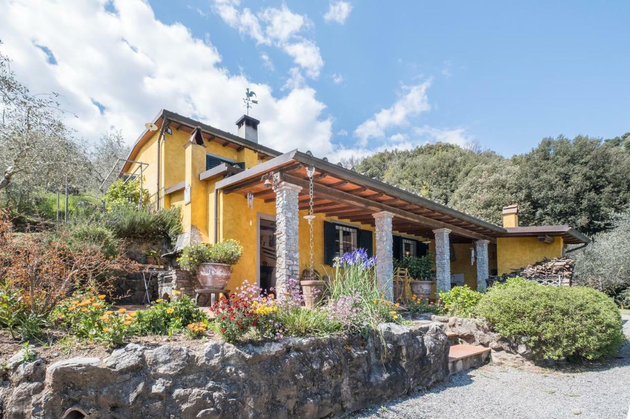 Fattoria Ceragioli Villa Camaiore Dış mekan fotoğraf