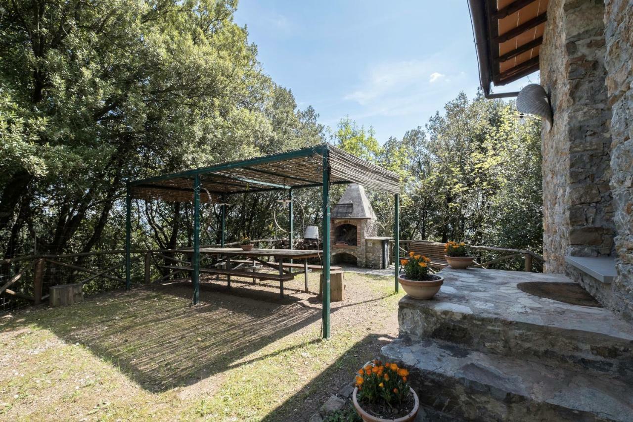 Fattoria Ceragioli Villa Camaiore Dış mekan fotoğraf