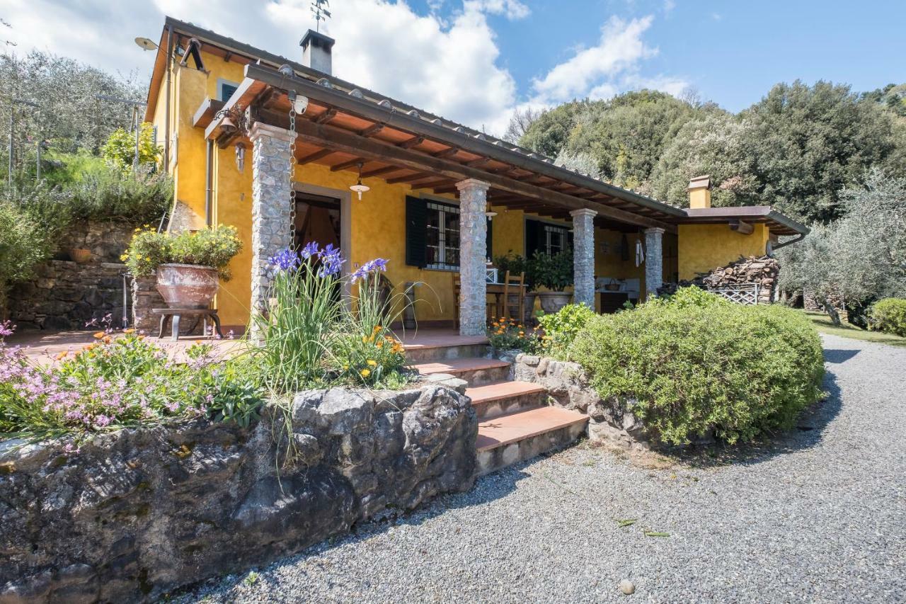 Fattoria Ceragioli Villa Camaiore Dış mekan fotoğraf