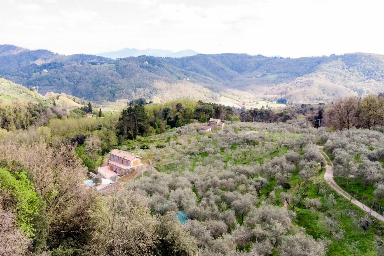 Fattoria Ceragioli Villa Camaiore Dış mekan fotoğraf